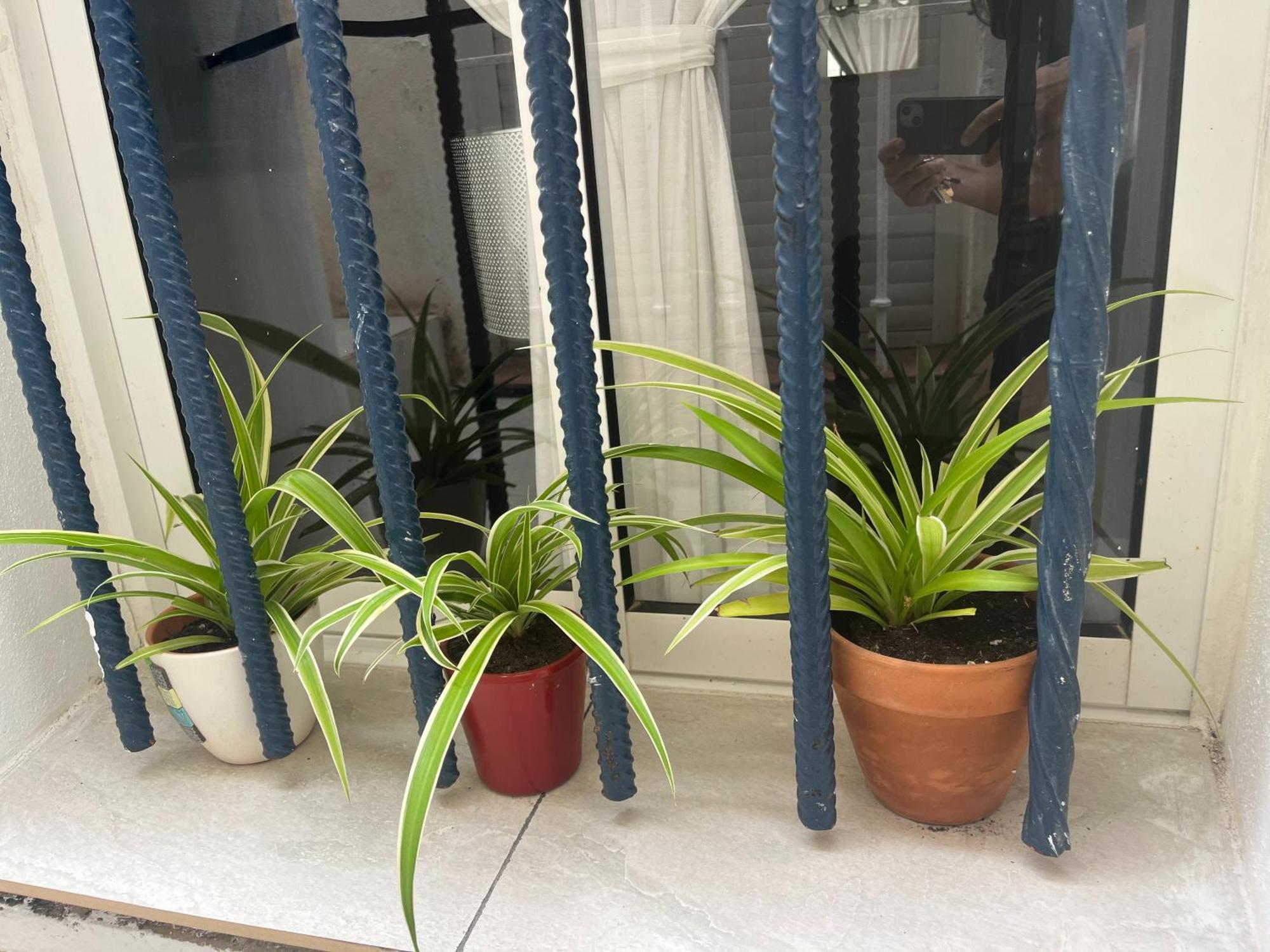 Casa Deniz Apartment Malaga Phòng bức ảnh